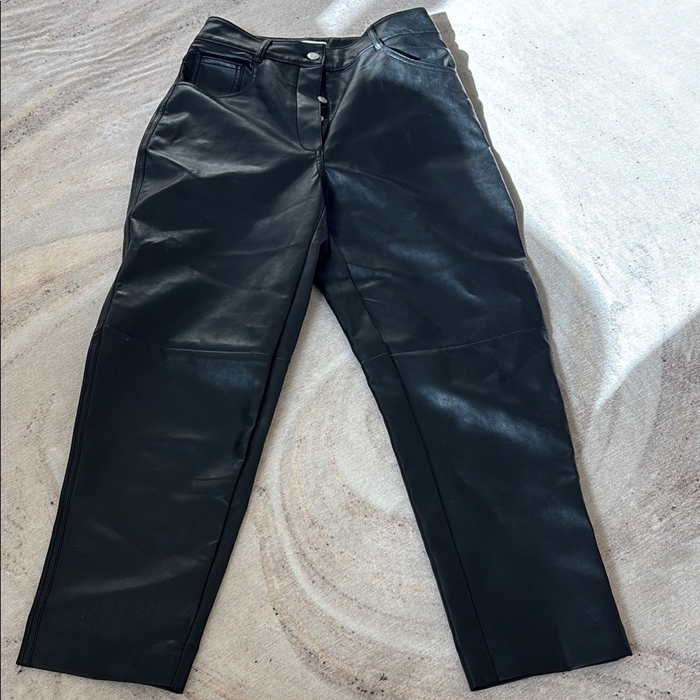 Aritzia Wilfred Free Leather Pants